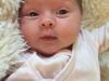 Pige Min smukke prinsesse Shanel