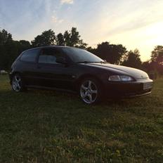 Honda Civic Eg hatch