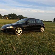 Honda Civic Eg hatch