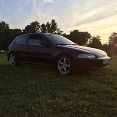 Honda Civic Eg hatch