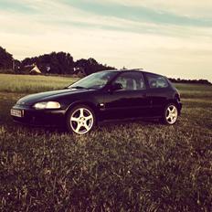 Honda Civic Eg hatch