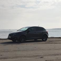 Seat Ibiza 1,6 16V 105 Style