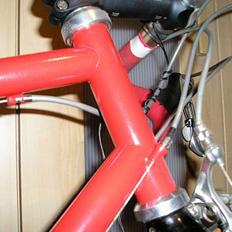 Litespeed tnh