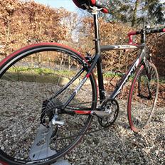 Giant scr 3.0