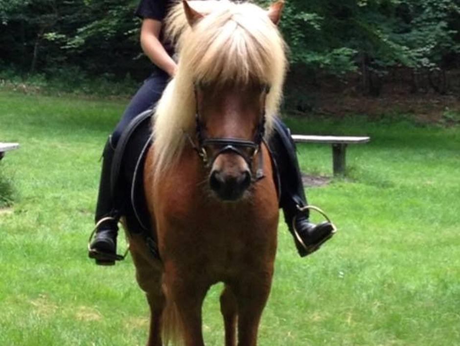 min elskeder Eldur
