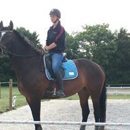 • JosephineHinrup&JosefineFjellerup • TEAM BERWALD