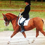 Lady og Louise<3