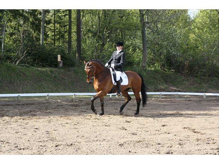 hest citater fed kvinde hest citater fed kvinde