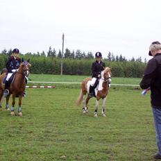 Anden særlig race Bess (gammel part) <3