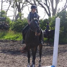 Oldenborg Lindgaards Aladin