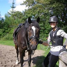 Oldenborg Lindgaards Aladin