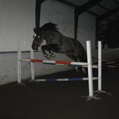 Oldenborg Lindgaards Aladin