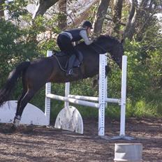 Oldenborg Lindgaards Aladin