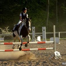 Pinto Gipsy <3 (gamle part <3)