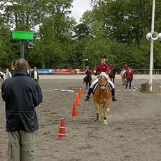Anden særlig race Odin