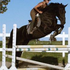 Oldenborg † Cavalcanti (Pony)