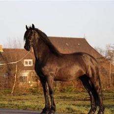 Frieser Quiny *Min baby kommer hjem igen <3 *