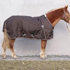 Haflinger Katarina *Guld ponyen*