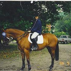 Standardbred ¨˜”°º• Ulrikka(solgt)•º°”