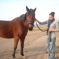 Traver haniball†16-05-2011†