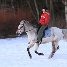Anden særlig race SKOVGÅRDENS SHARNIE<3 -ninja-gede-knirke-