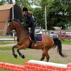 Anden særlig race Mirou ~ Min smukke dreng <3