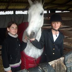 Welsh Pony af Cob-type (sec C) Joanna<3 Du var en ener!:')