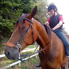 Standardbred Danbury