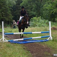 Anden særlig race °º•Ti amo•º°