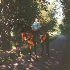 Standardbred ¨˜”°º• Ulrikka(solgt)•º°”
