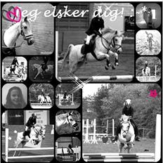 Hollandsk Sportspony *Jarka* (Jackie) Solgt:-(