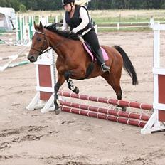 Traver krystal * Min Enste Ene*