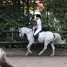 Anden særlig race Miss Chili R.I.P 2/2-12:'(<3