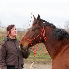 Anden særlig race Star