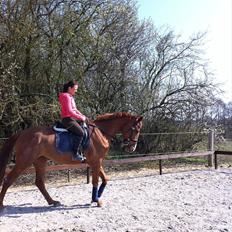 Anden særlig race | Tequila Sunrise «3 | R.I.P 25-06-2012