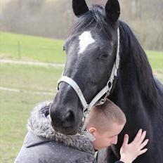 Standardbred Casino