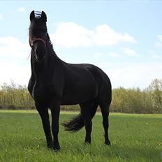 Frieser Quiny *Min baby kommer hjem igen <3 *
