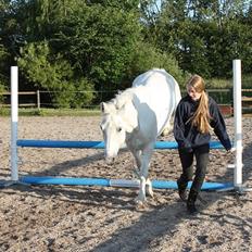 Anden særlig race Hugo