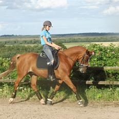 Anden særlig race Romeo<3
