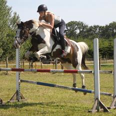 Anden særlig race Rain Solei - B-pony