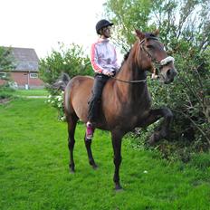 Traver Jazz Pax (Jezze) <3<3