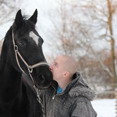 Standardbred Casino
