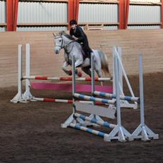 Anden særlig race Pleasure(Plea) <3 <3