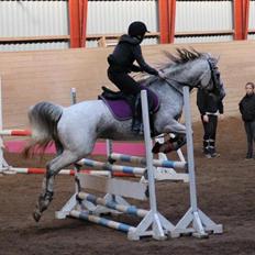 Anden særlig race Pleasure(Plea) <3 <3