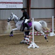Anden særlig race Pleasure(Plea) <3 <3