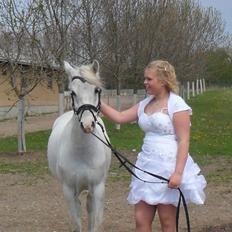 Anden særlig race Blida <3 *SOLGT*