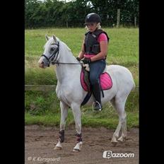 Anden særlig race Blida <3 *SOLGT*