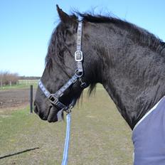Frieser Jan B. (Baby)