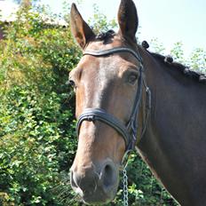 Traver Jazz Pax (Jezze) <3<3