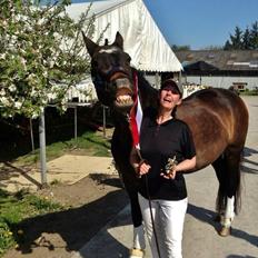 Anden særlig race After Eight´s Chanel / Mutte